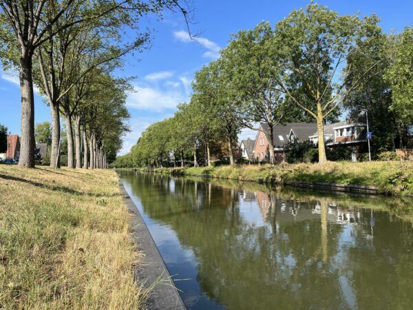 Boomrijke oever van de Leidse Rijn met woonhuizen en weerspiegeling in het water op een zonnige dag.